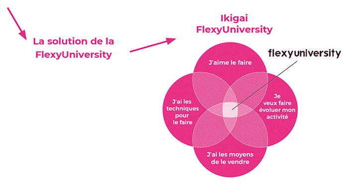 flexybeauty flexyuniversity solution