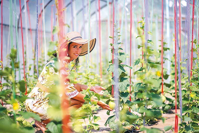 Sun Siyam Resorts offre aussi à ses clients la possibilité de visiter l’une de ses trois îles agricoles pour en apprendre davantage sur les méthodes agricoles locales et voir les produits cultivés et livrés aux resorts chaque semaine.