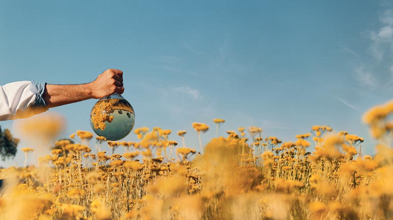 Secret Divine Jeunesse à l’Immortelle. Ce soin pour le visage de 90 minutes révèle la jeunesse naturelle de la peau grâce à l’un des ingrédients phares de L’Occitane en Provence : la Fleur d’Immortelle, connue pour ne jamais faner.