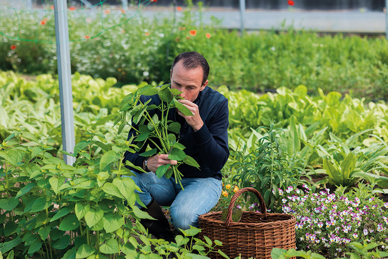 Le jardin potager de Fleur de Loire permet de faire renaitre des variétés anciennes et faire des expériences à la recherche d’aromates comme l’hysope, l’agastache ou la celtuce pour de nouvelles saveurs.